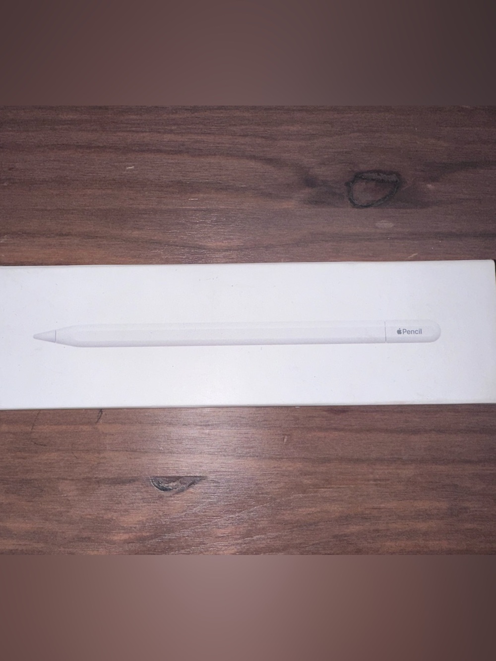 Apple - Pencil (1st Generation) with USB-C to Pencil Adapter